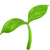 seedling_1f331